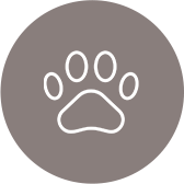 pet friendly